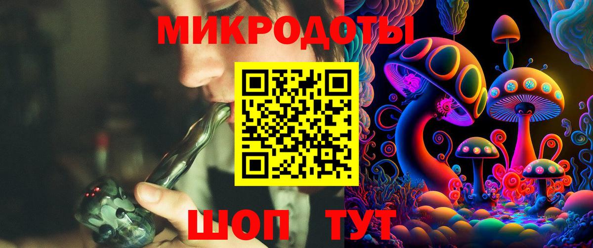 Галлюциногенные грибы Psilocybe Рузаевка